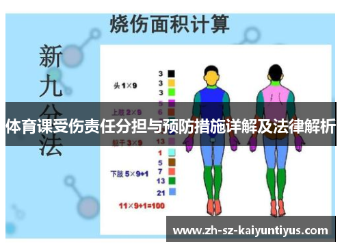 体育课受伤责任分担与预防措施详解及法律解析
