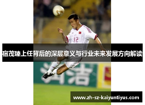 宿茂臻上任背后的深层意义与行业未来发展方向解读