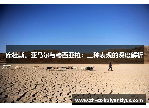 库杜斯、亚马尔与穆西亚拉：三种表现的深度解析