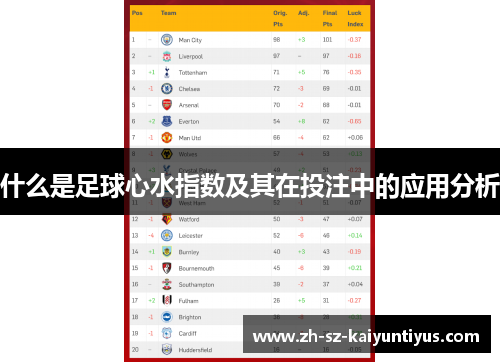 什么是足球心水指数及其在投注中的应用分析