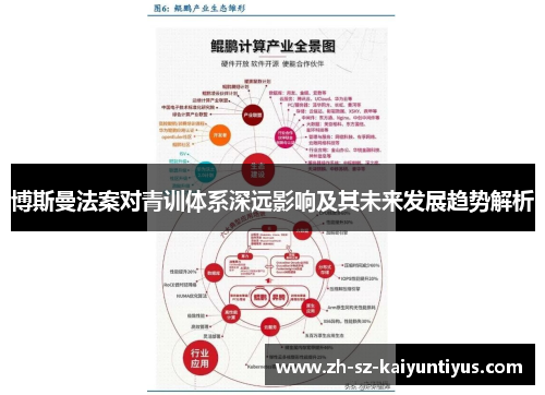 博斯曼法案对青训体系深远影响及其未来发展趋势解析