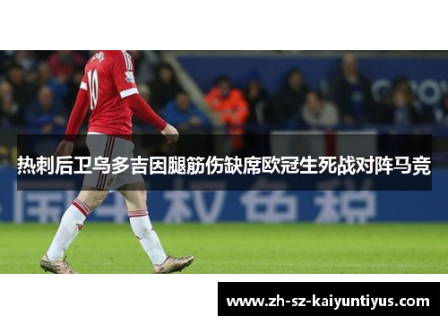 热刺后卫乌多吉因腿筋伤缺席欧冠生死战对阵马竞